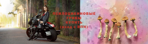 МДПВ Волоколамск