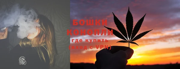 ПСИЛОЦИБИНОВЫЕ ГРИБЫ Волосово