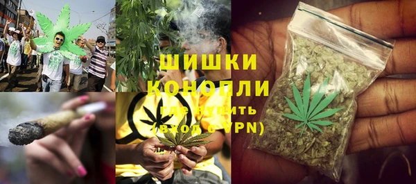 МДПВ Волоколамск