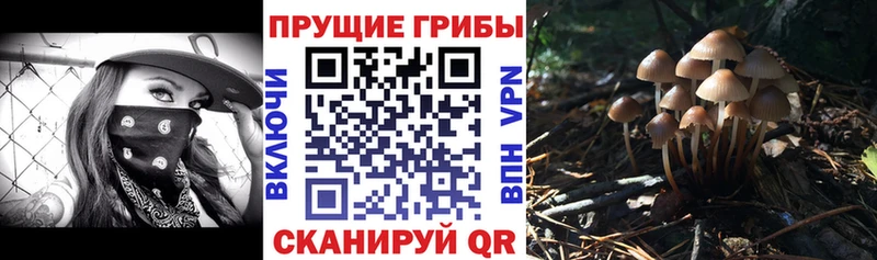 Псилоцибиновые грибы Psilocybe  хочу наркоту  гидра ТОР  Верхний Тагил 