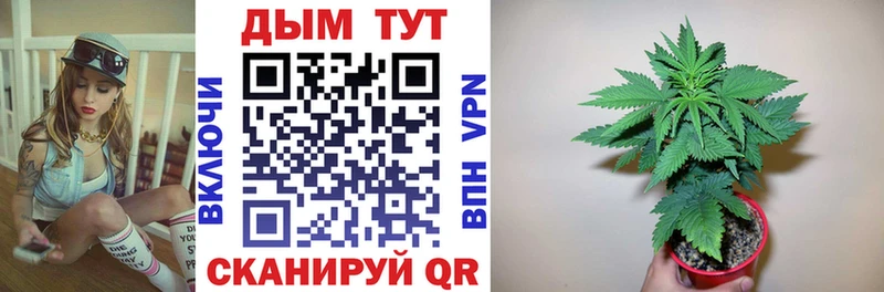 Каннабис индика  Верхний Тагил 